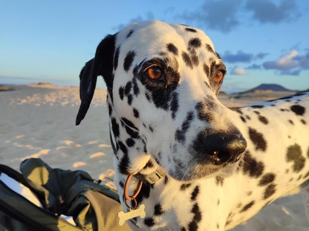 Alojamiento Fuerteventura Tikuna La Oliva Bagian luar foto